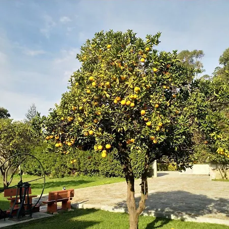 Metro Vilar & Maison d'hôtes