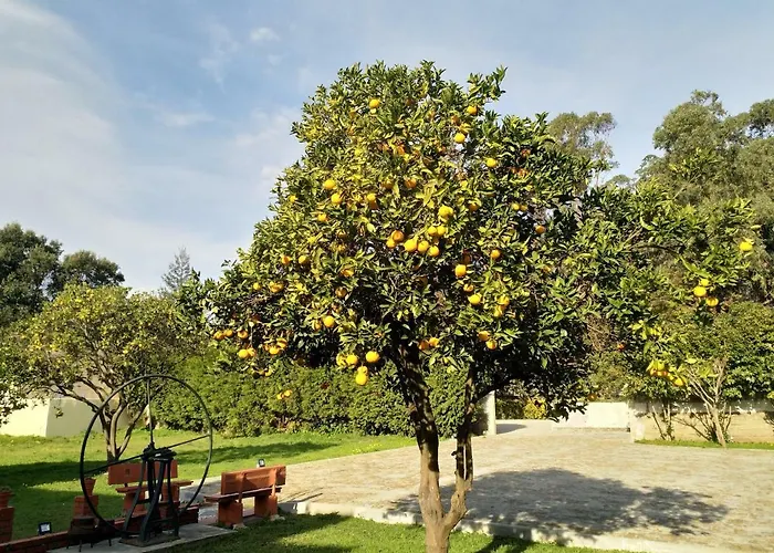 Metro Vilar & Gasthof